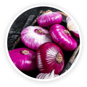 Difesa Unghia, 4 flaconi